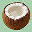 Coconut whip Toothpaste